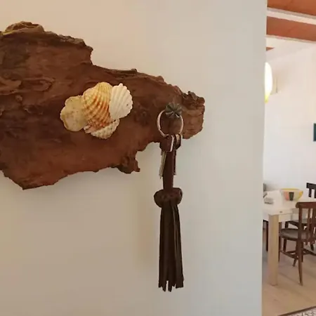 Can Llavi Apartment Canet De Mar